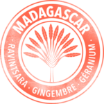 TAMPON_MADAGASCAR-1